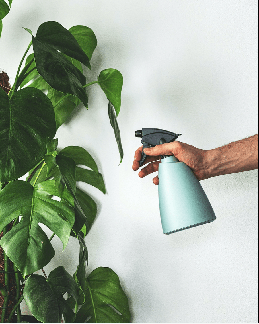 Neem Oil Bug Spray for Plants - Aryaa Organic