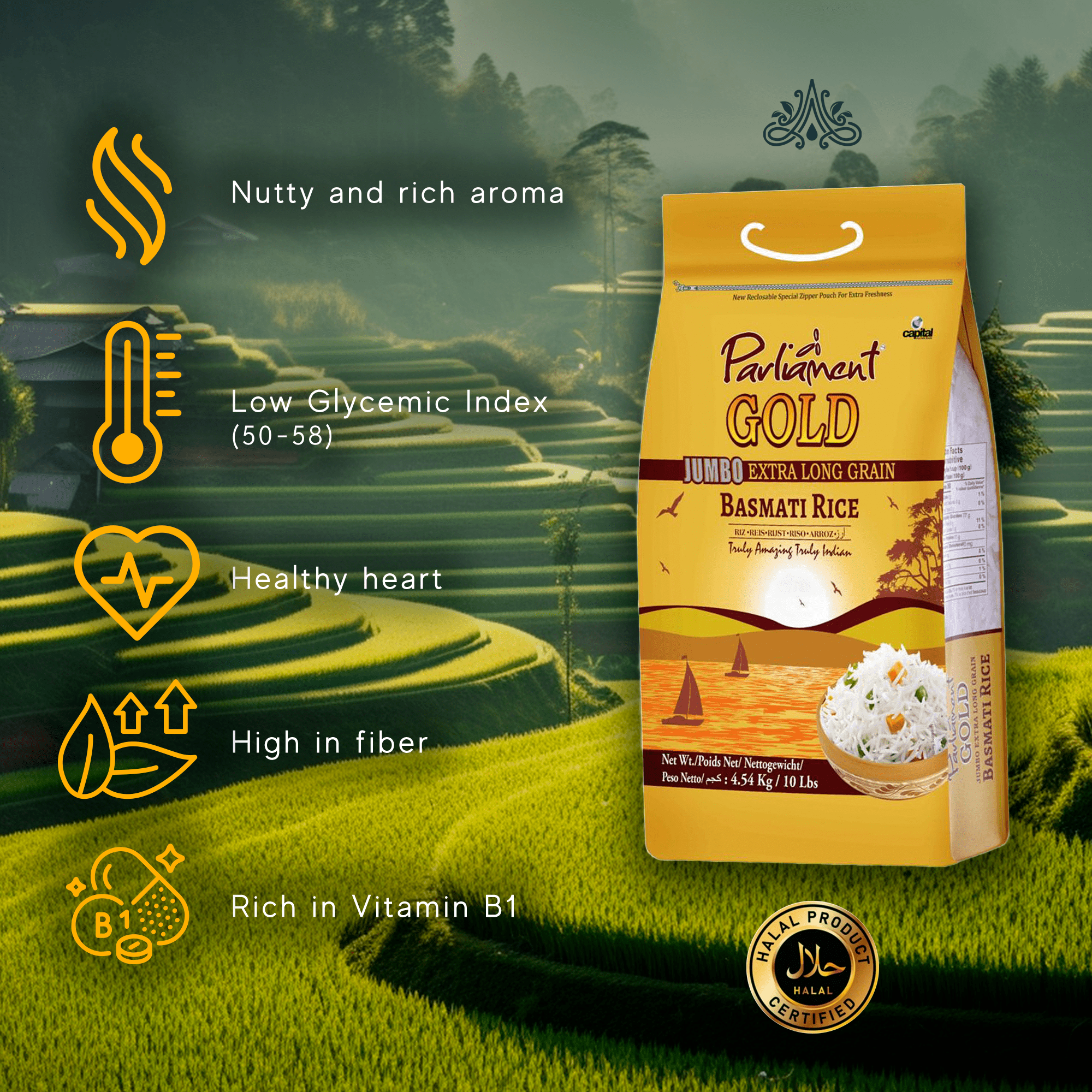 Parliament Gold Jumbo Extra Long Basmati Rice -10 lbs - Aryaa Organic