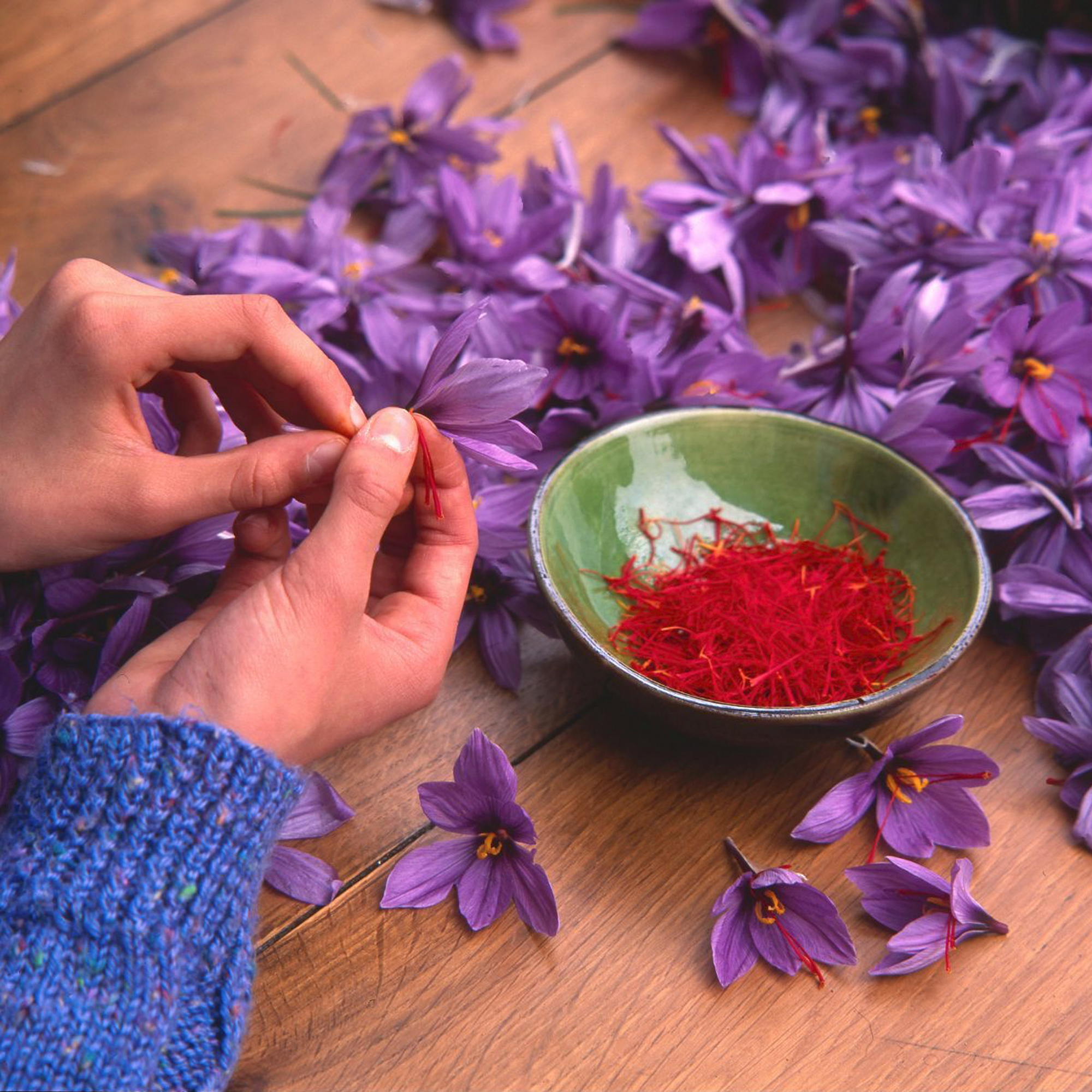 Saffron - Spanish Harvest Brand - Aryaa Organic