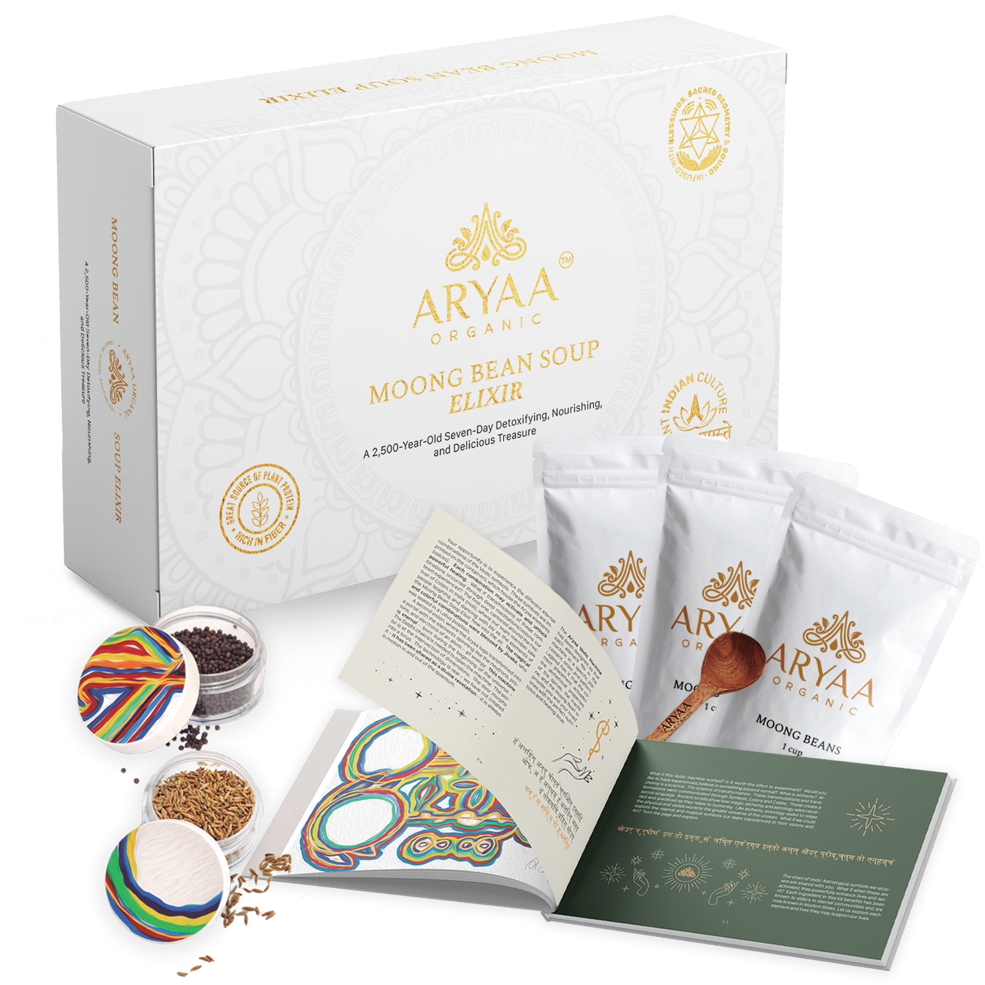 14-Day Aryaa Detox Experience— Live Masterclasses (August 3rd-16th 2026) - Aryaa Organic