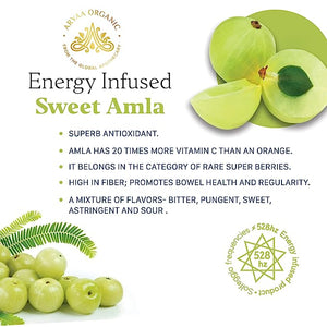 Aryaa Organic Amla Sweet (Indian Gooseberry) Energy Infused