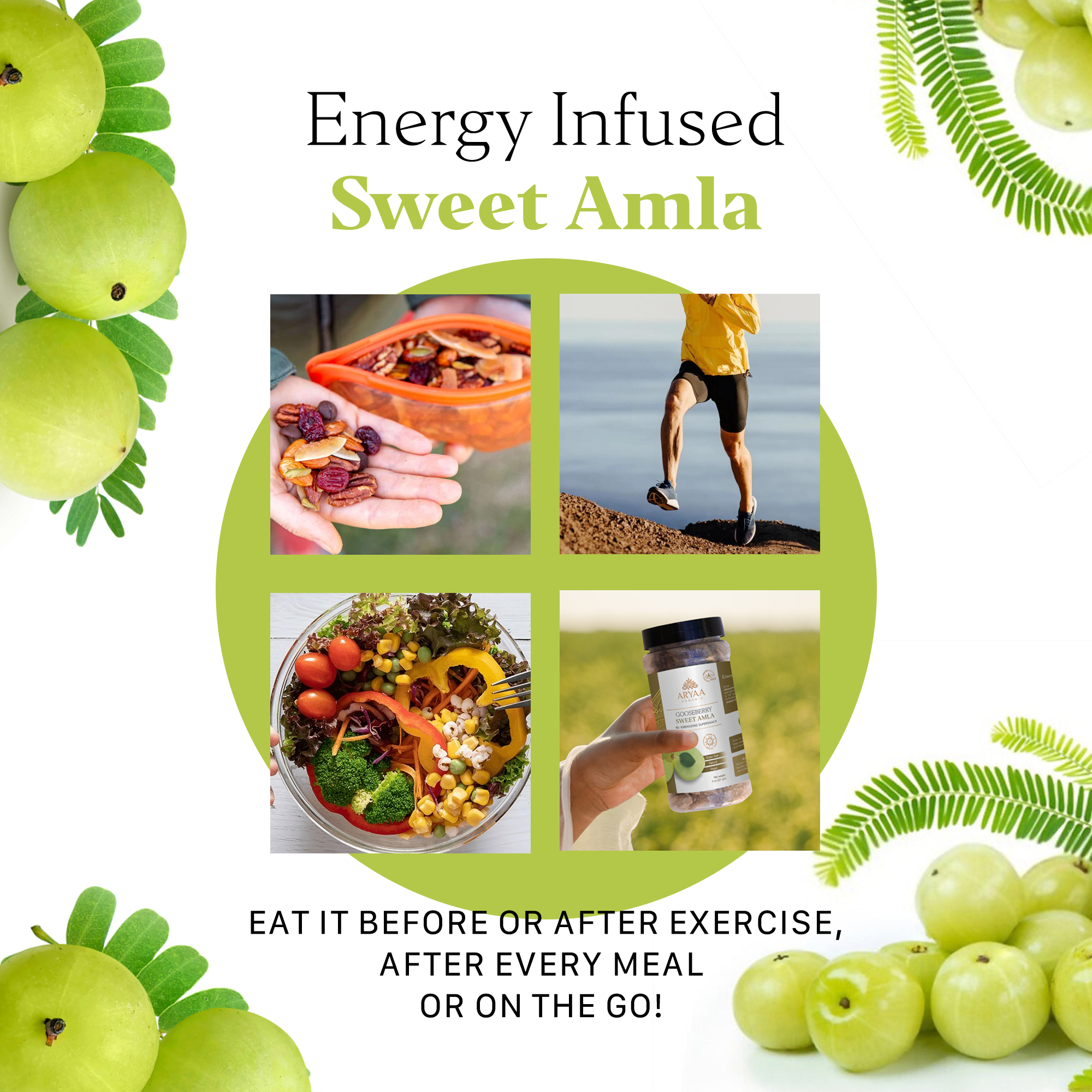 Aryaa Organic Amla Sweet - Indian Gooseberries - Aryaa Organic