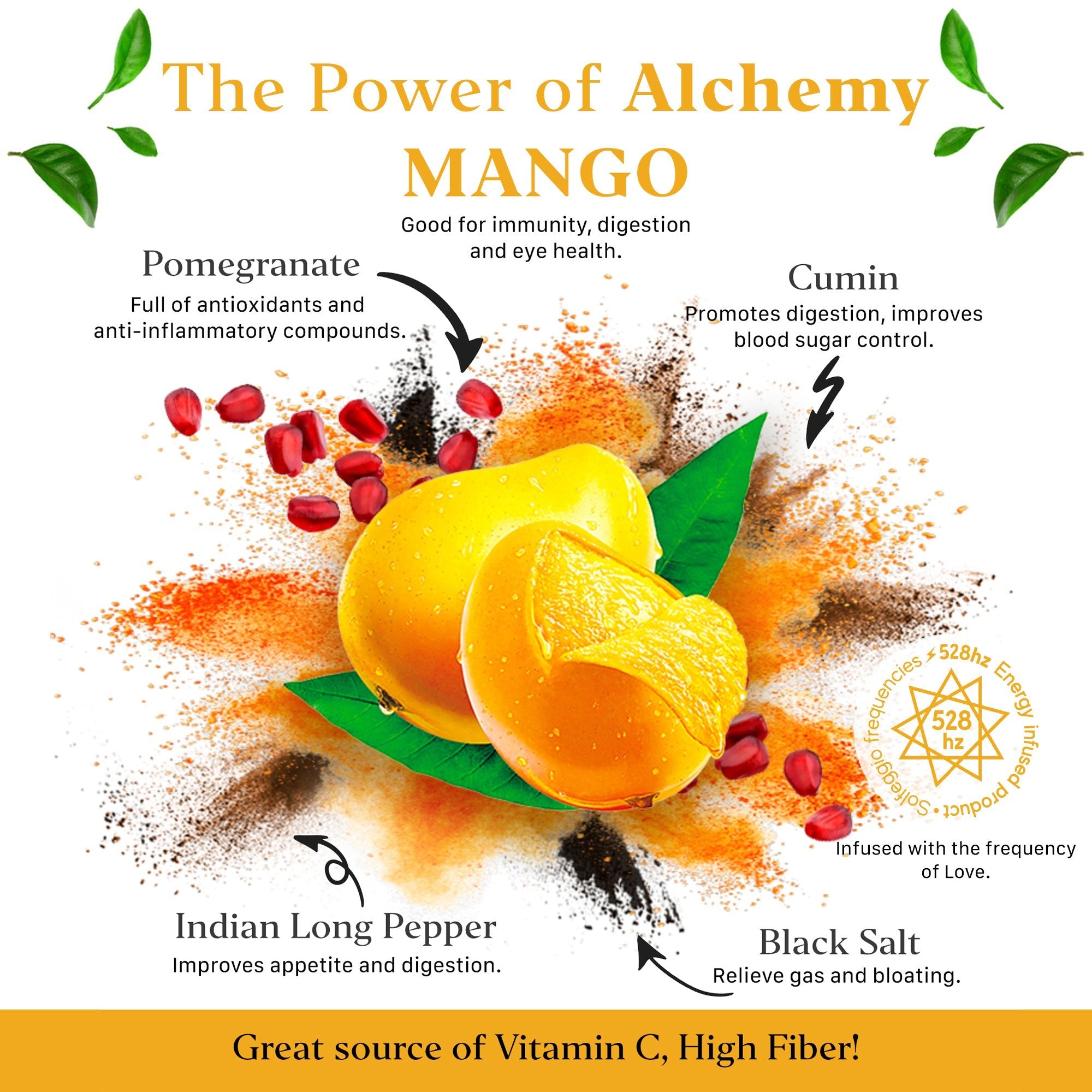 Aryaa Organic Mango - Bold and Spicy Pieces - Aryaa Organic