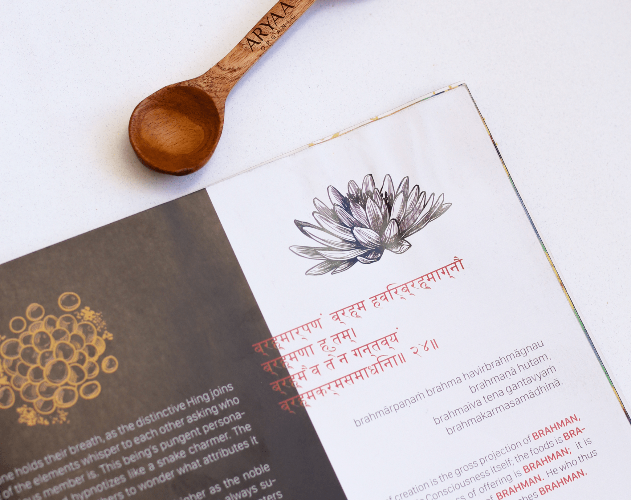 Jivaka's Treasure Book - Aryaa Organic