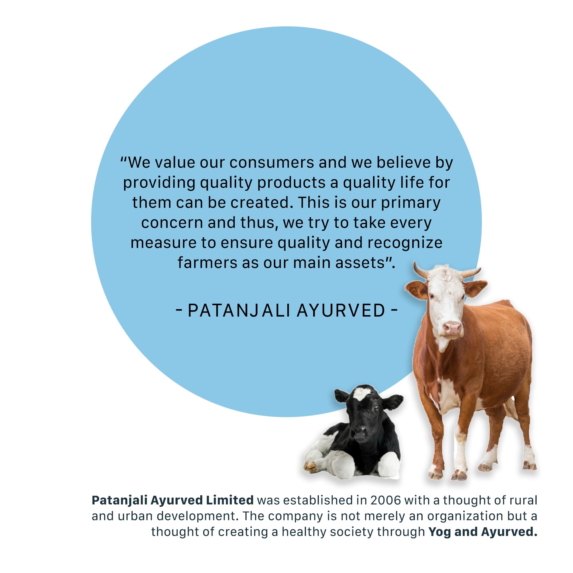 Patanjali Grass Fed Cow's Ghee - Aryaa Organic