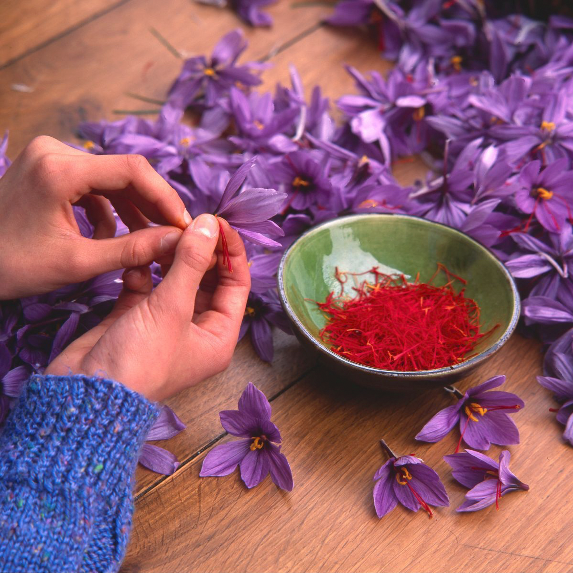 Saffron - Spanish Gathering Brand