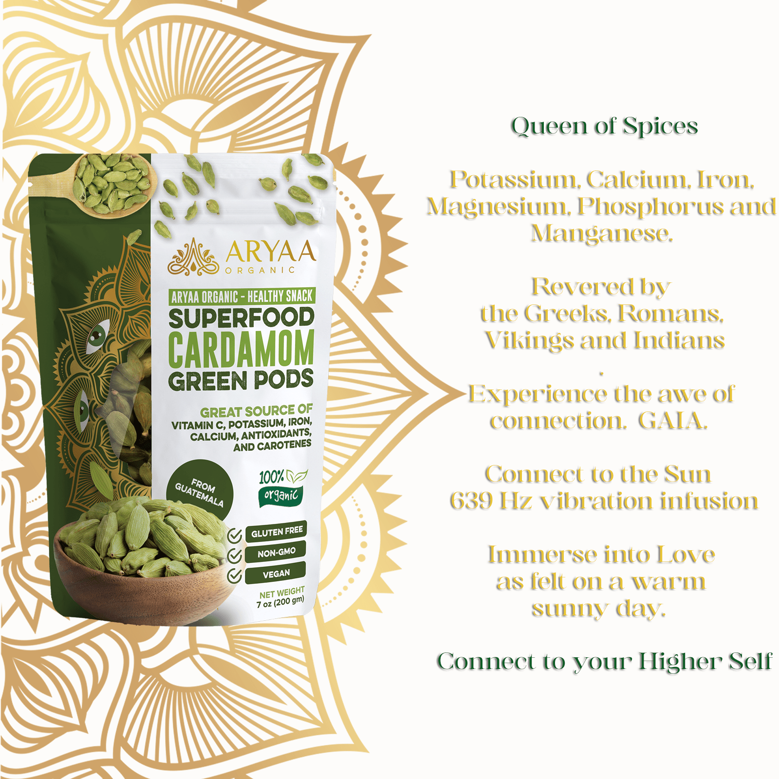 Aryaa Organic Cardamom Pods from India - Aryaa Organic